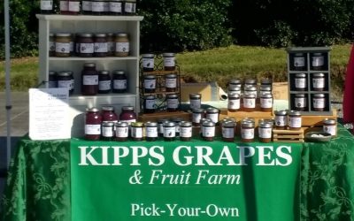 Kipps Grapes